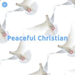 Download Na paz de Cristo (2021) [Mp3 Gospel] via Torrent