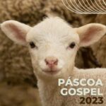 Download Pascoa Gospel 2023 - Os Melhores Louvores de Páscoa (2023) [Mp3 Gospel]